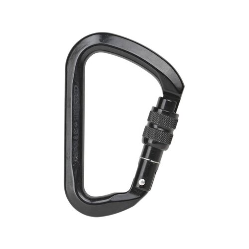 Axis BIG D Screw-Gate Carabiner- Black