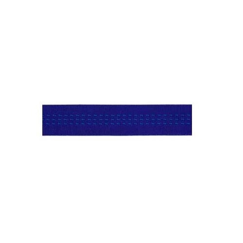 BlueWater 25mm Tubular Tape - Blue
