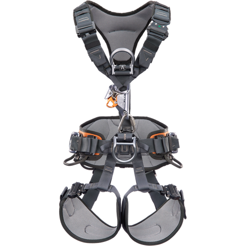 CT Gryphon Ascender Harness